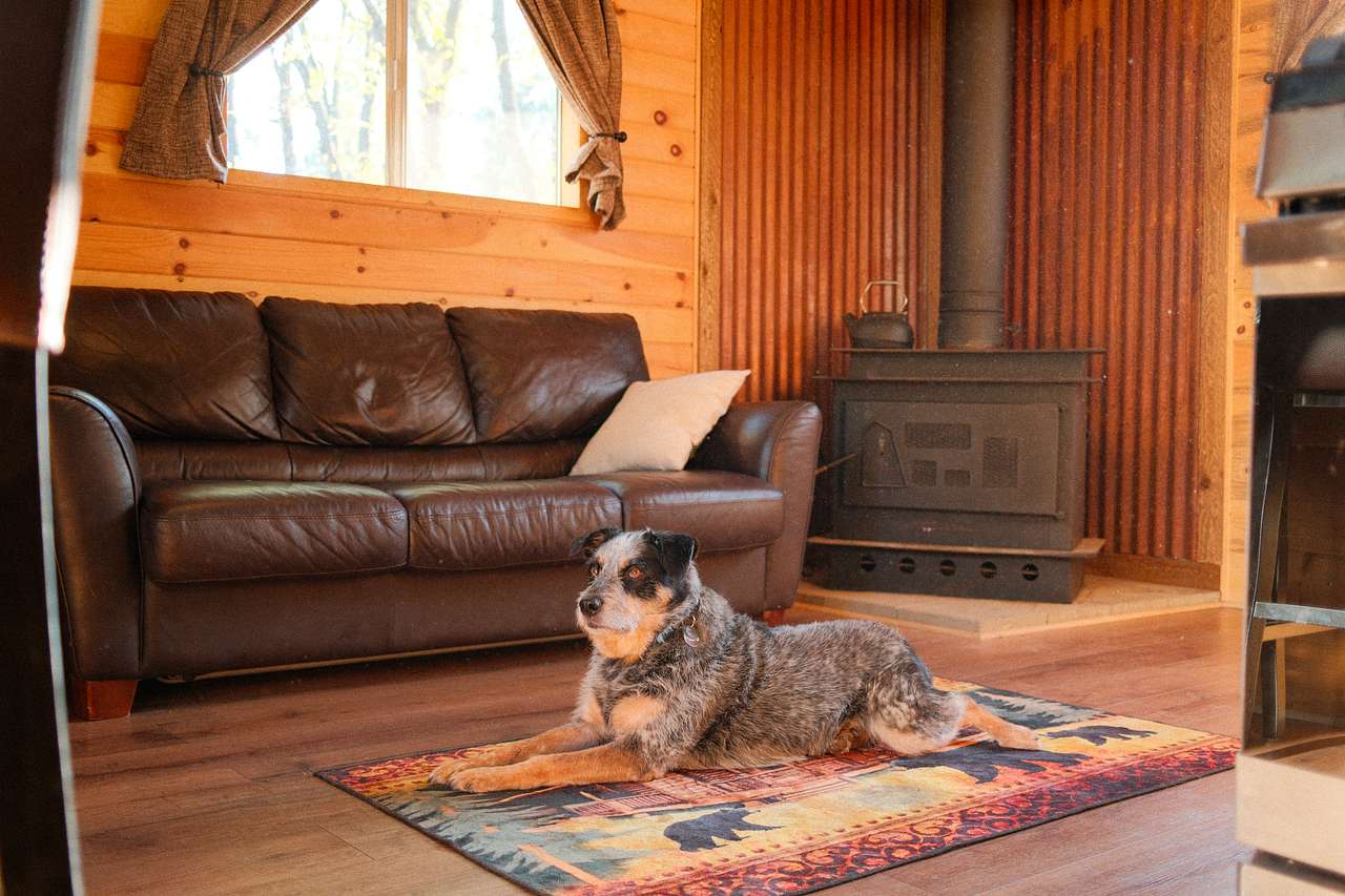 There is a wood-burning stove (you can gather firewood on the property) to keep warm in colder months