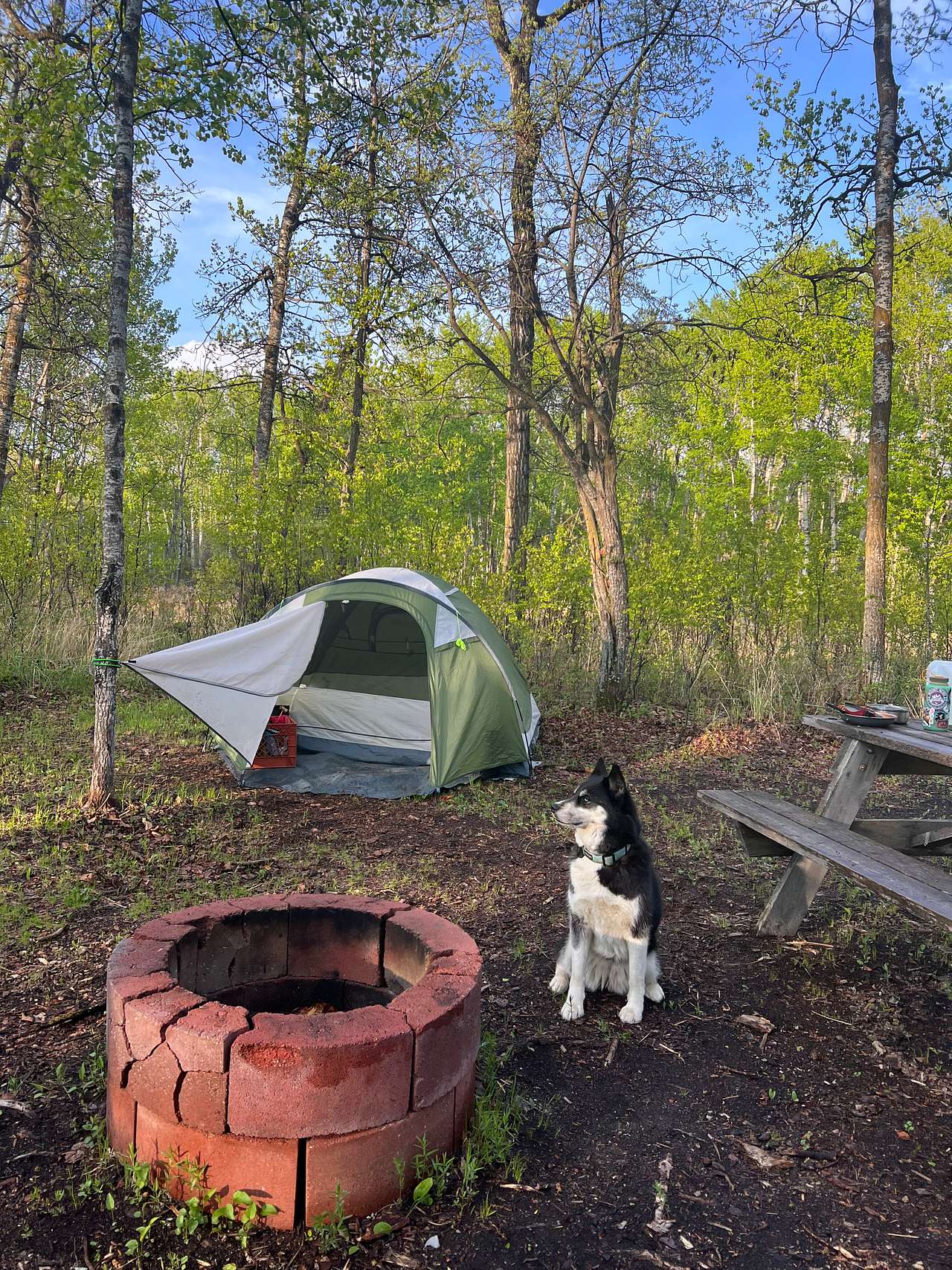 Site #1