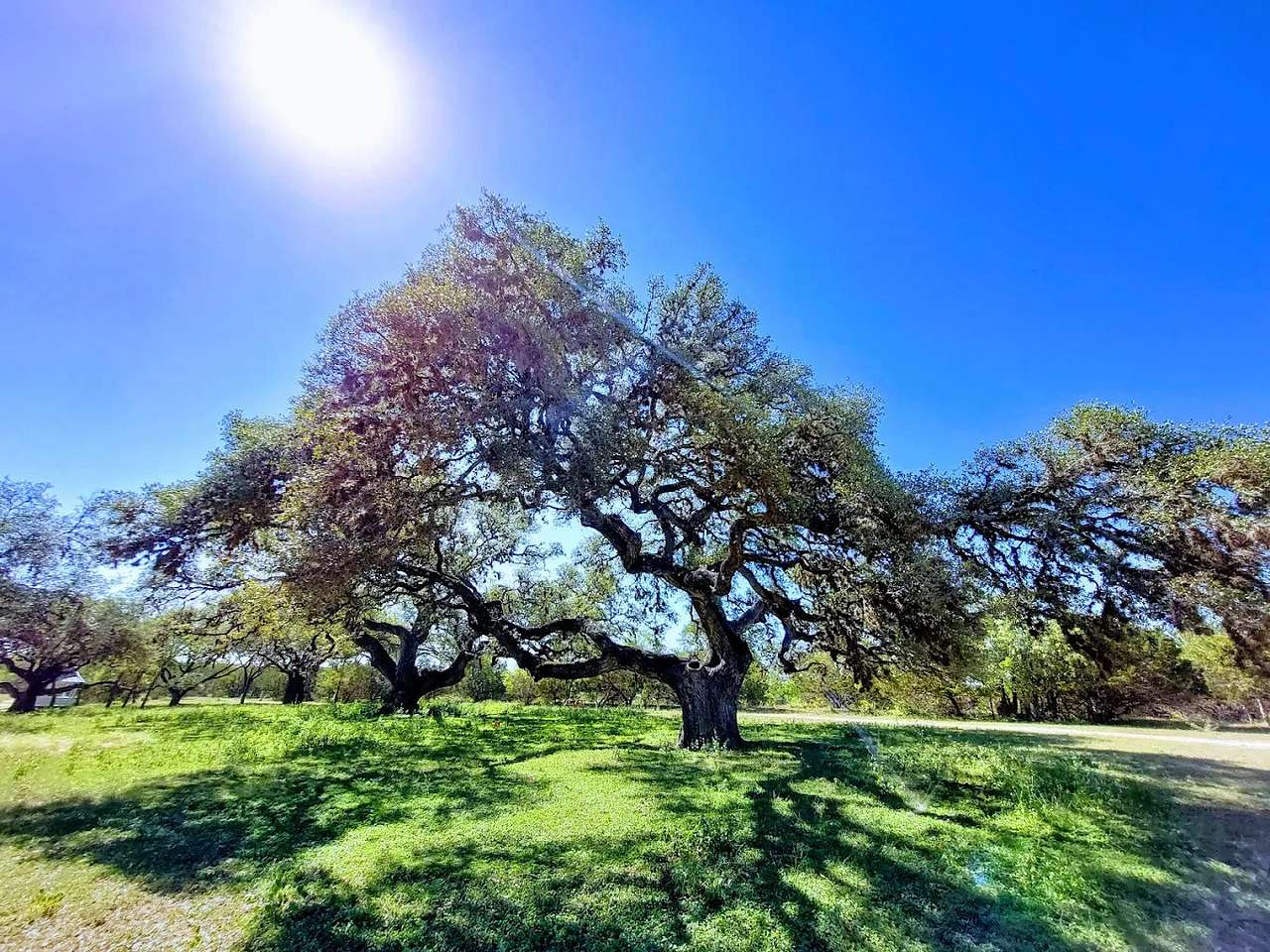 Skyline Ranch RV Park