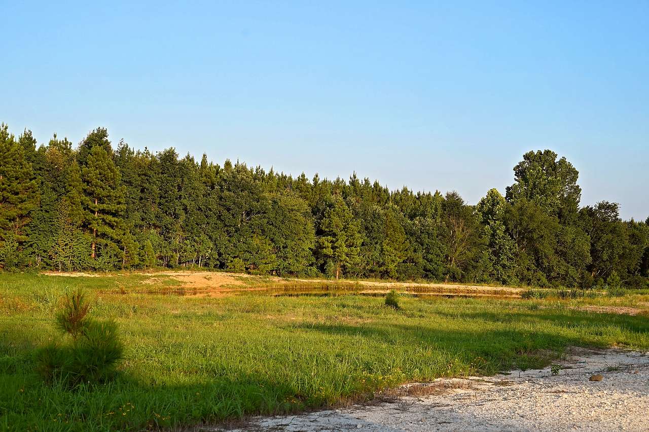 Secluded Pines RV Park and Mini Storage