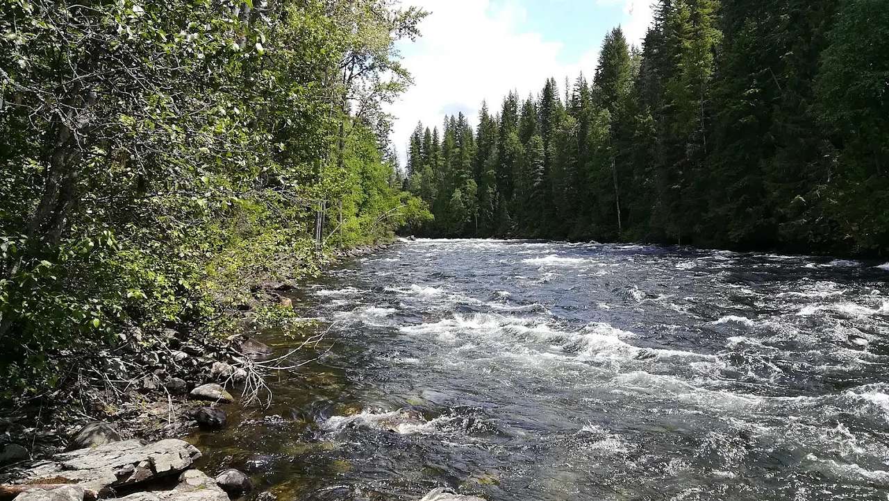 Clearwater Valley Resort