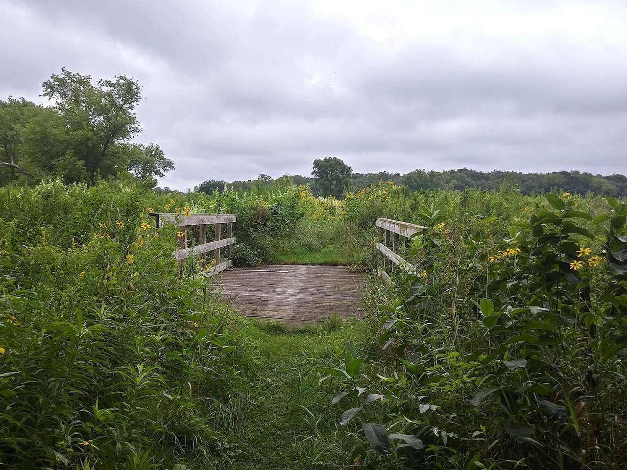 Token creek campground