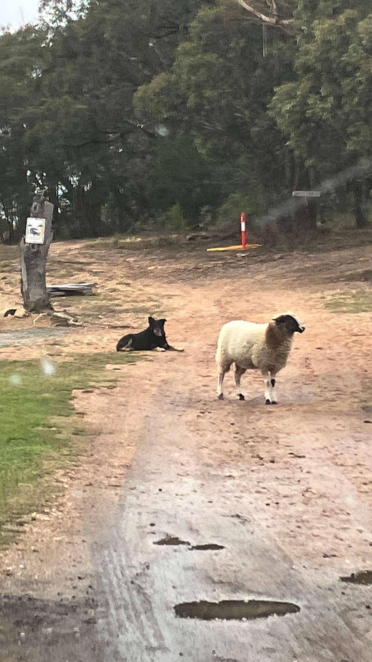 Welcome committee 