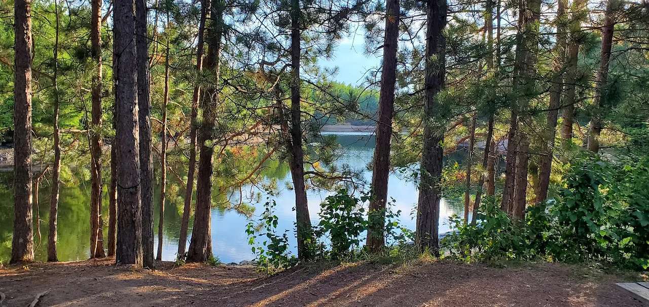 Cedar Falls Campground