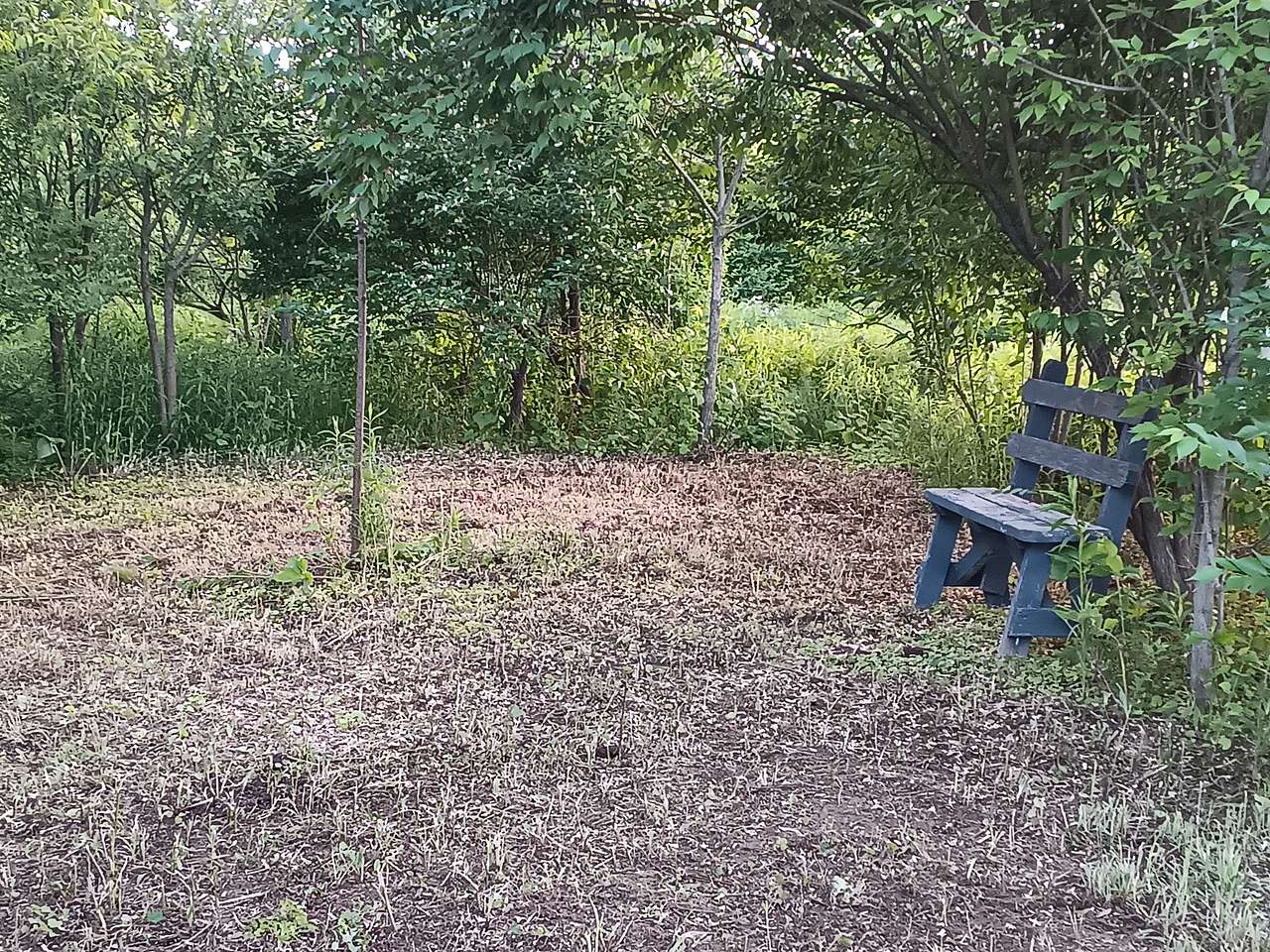 Campsite has bench
