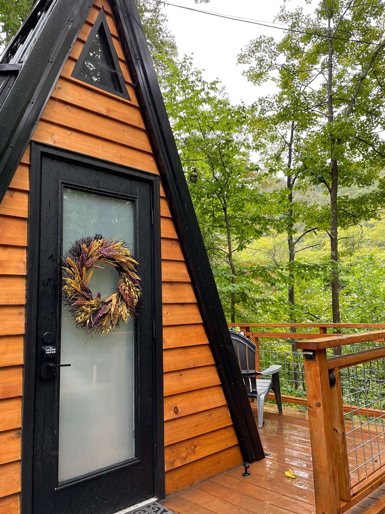 The Wildflower On Abrams Creek