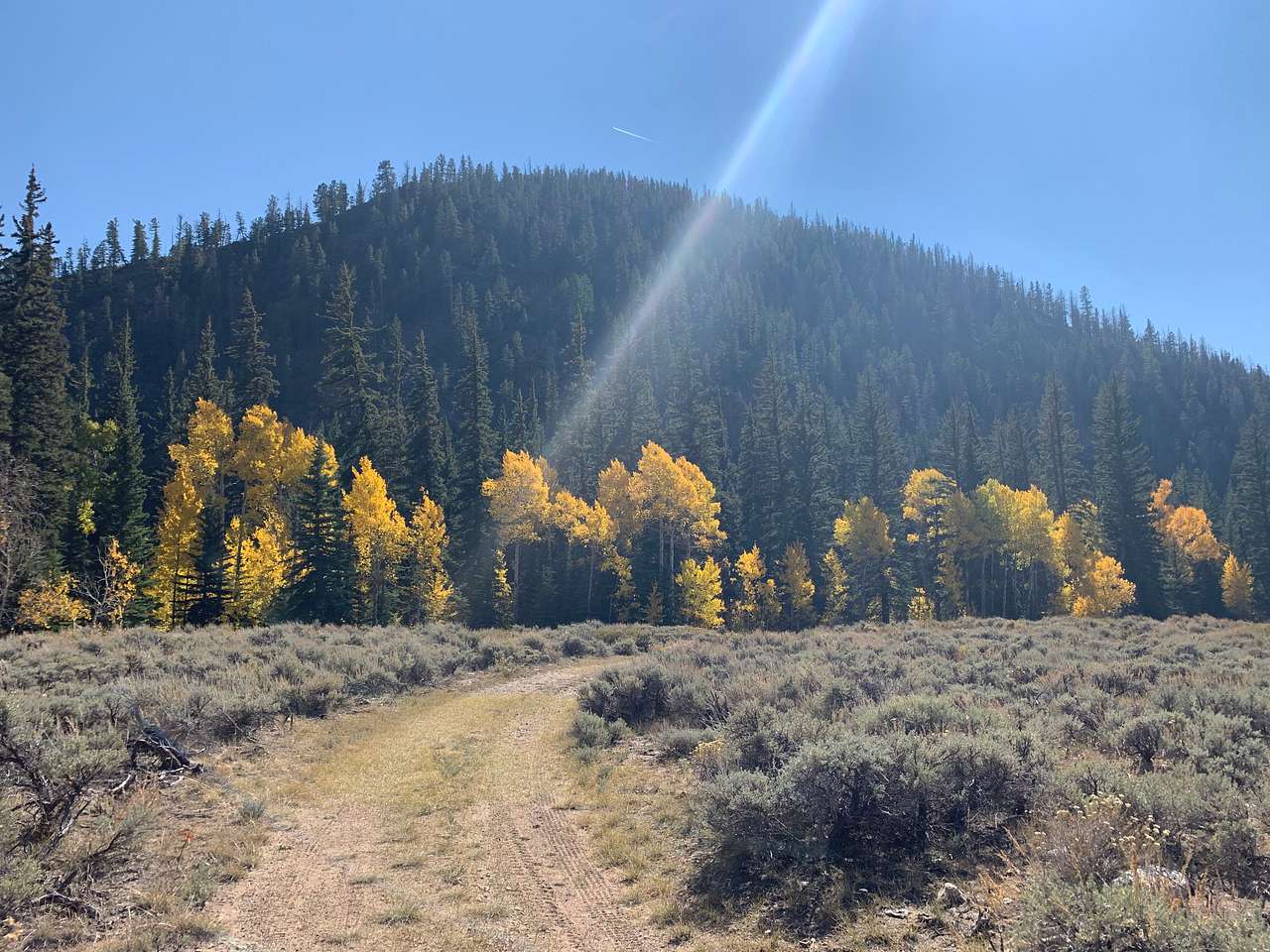 The Gold Links Ranch