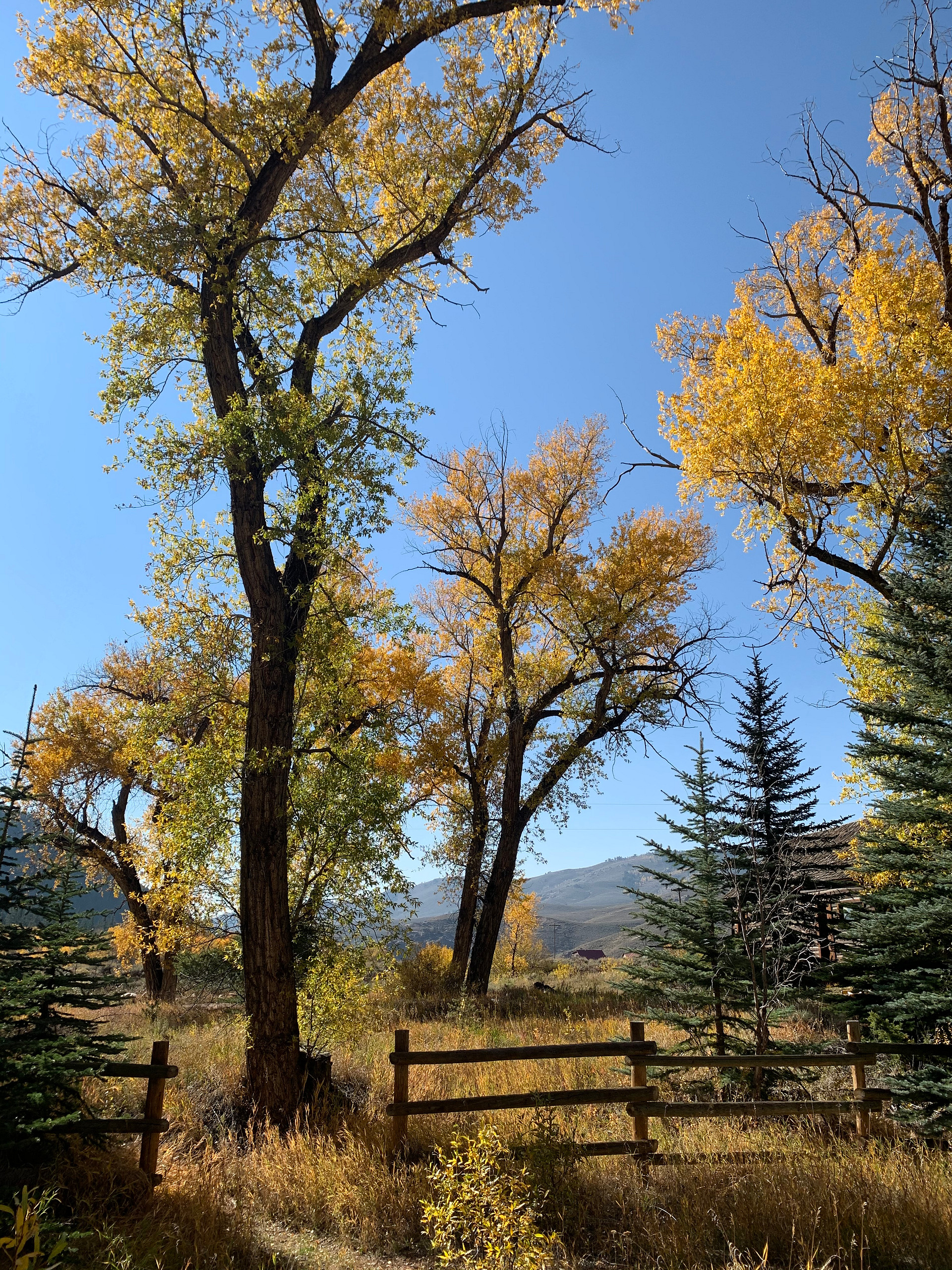 The Gold Links Ranch