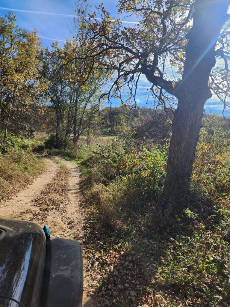 Foley's 4x4 Timber Trail Camping
