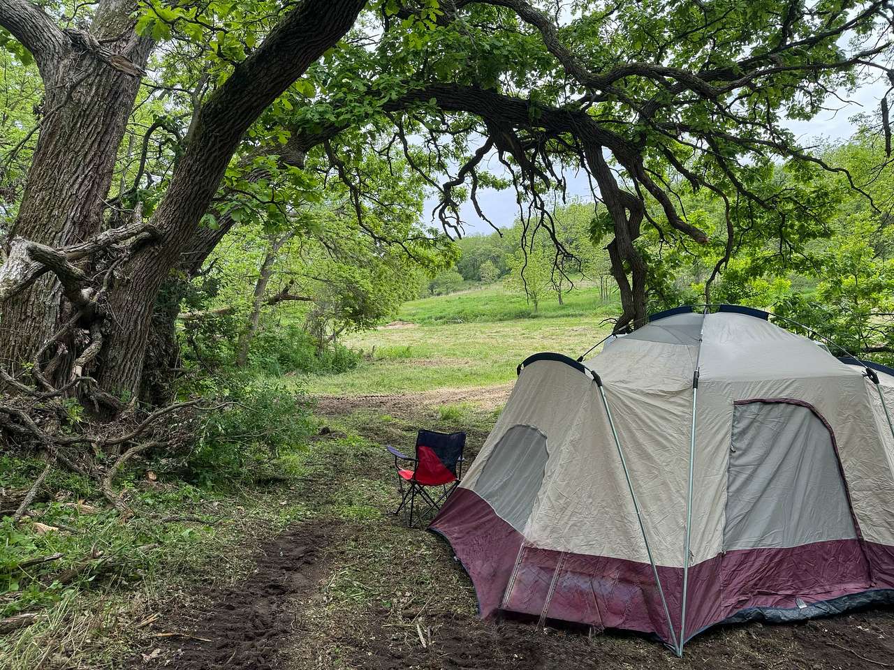 Foley's 4x4 Timber Trail Camping