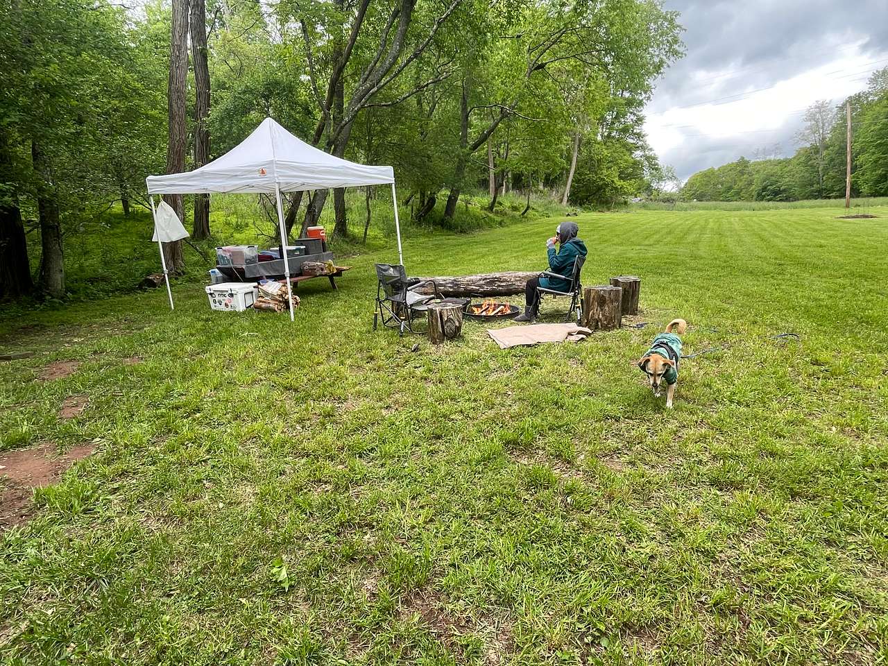 Apple Blossom Camp