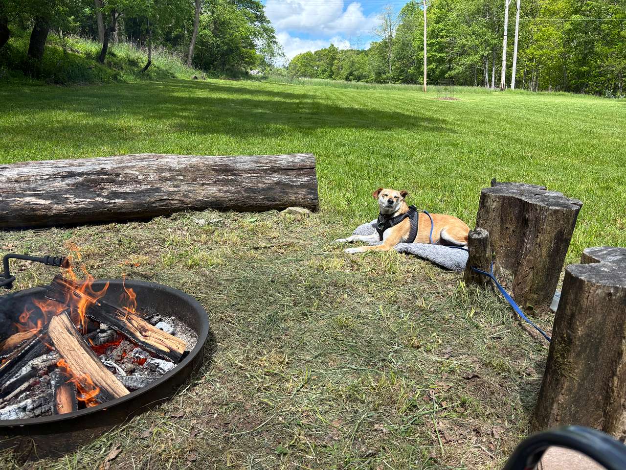 Apple Blossom Camp