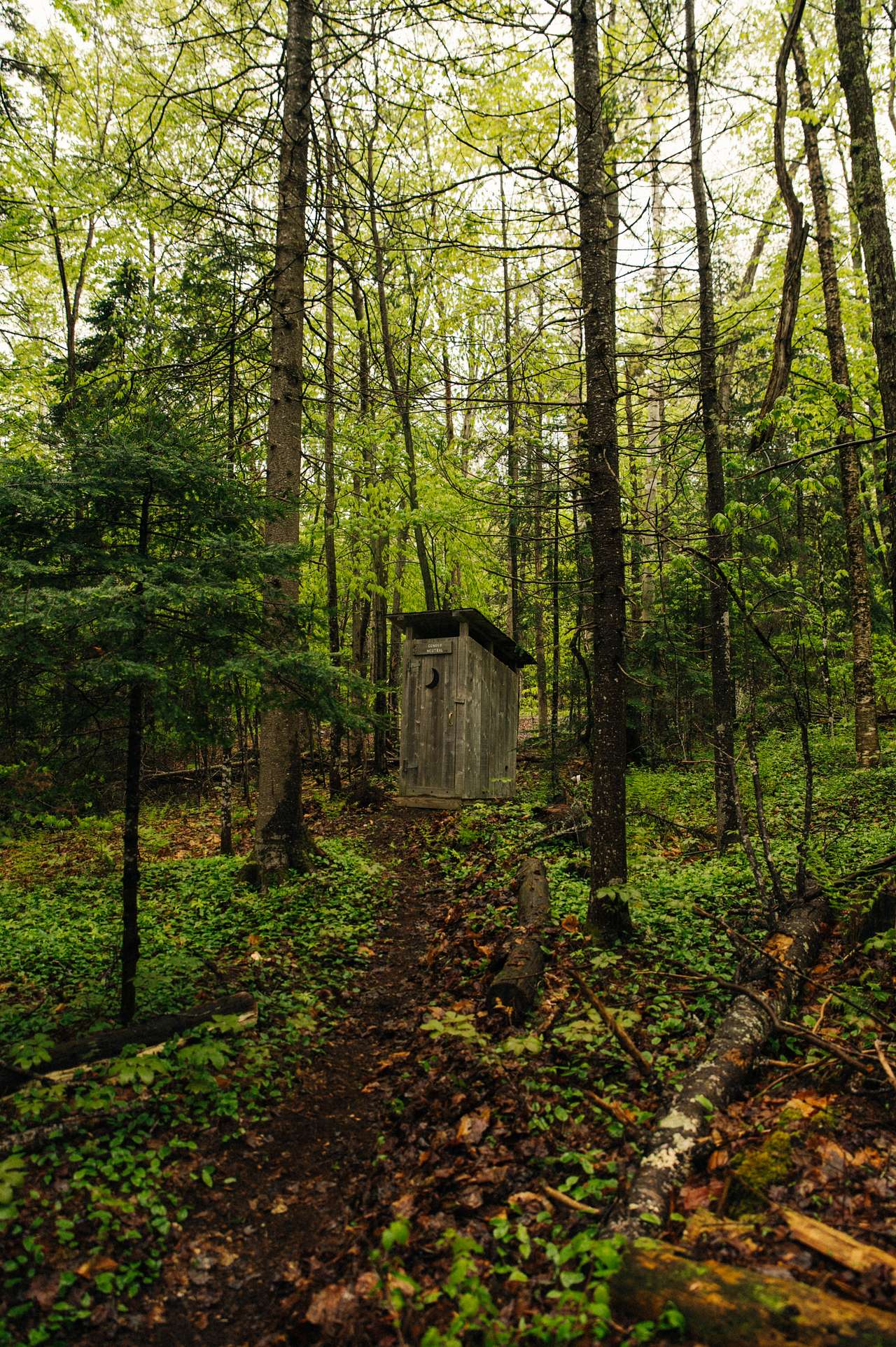 The Alcove at Martin's Pond