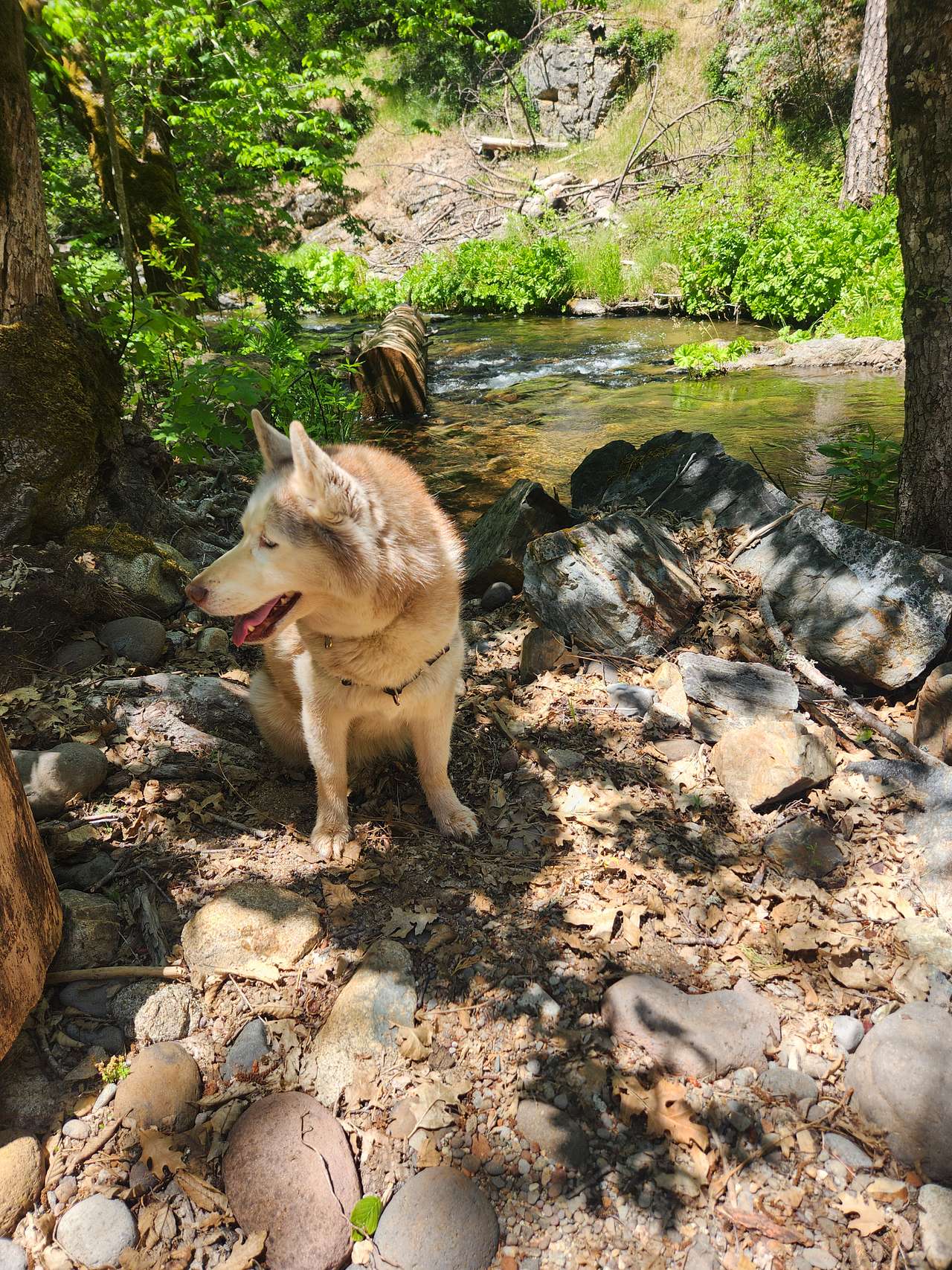 Kantu Outdoor Adventures