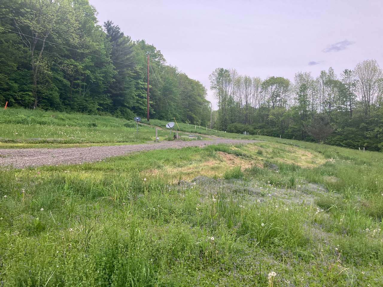 Chestnut Acres