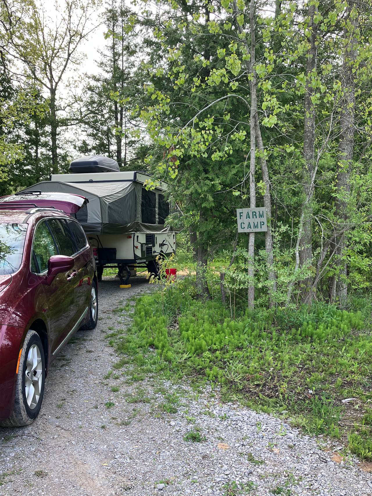 Farm Camp
