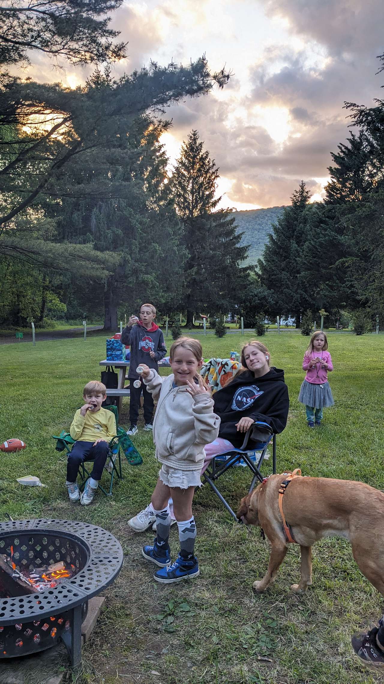 You can see the other campsite behind us. There are picnic tables hiding under the pine trees.
