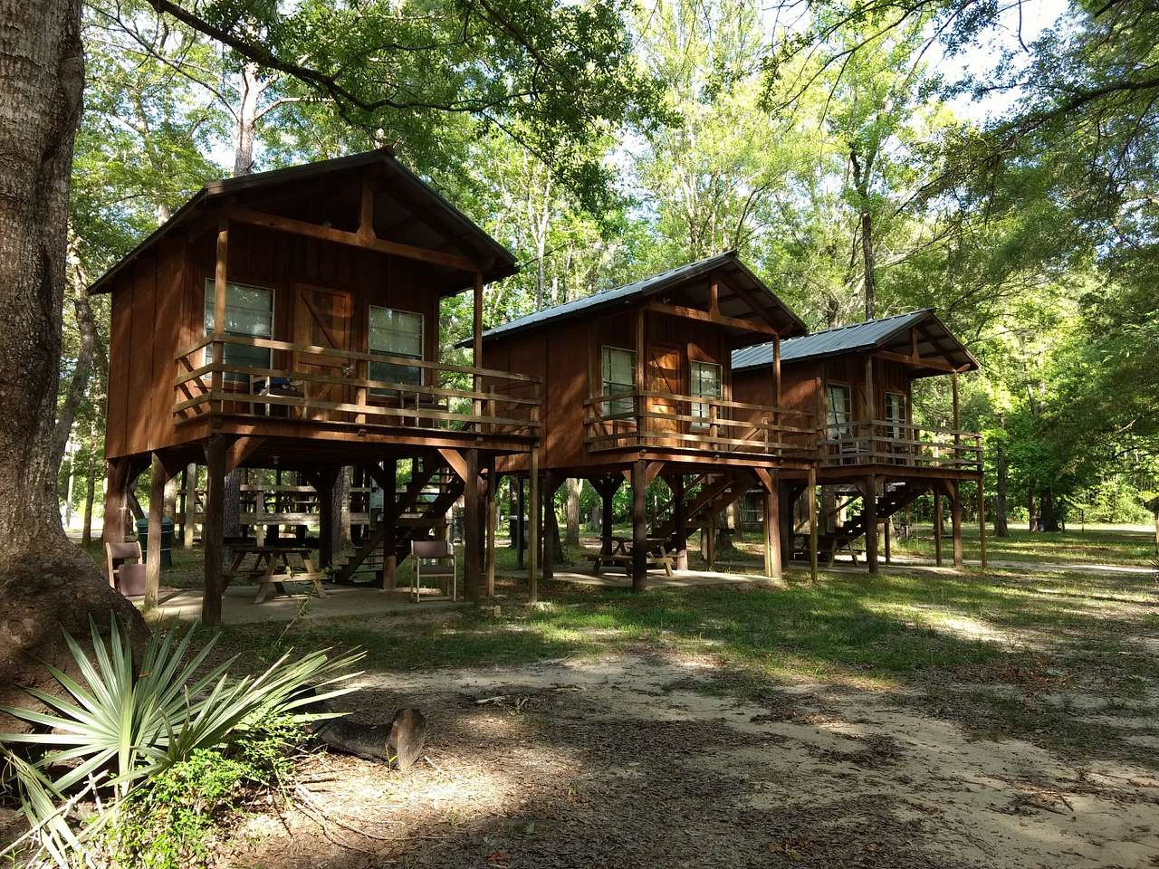 Scott's Ferry General Store and Campground