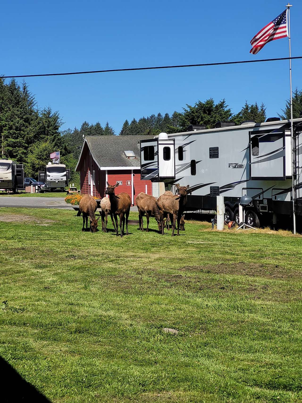 Elk Country RV Resort & Campground