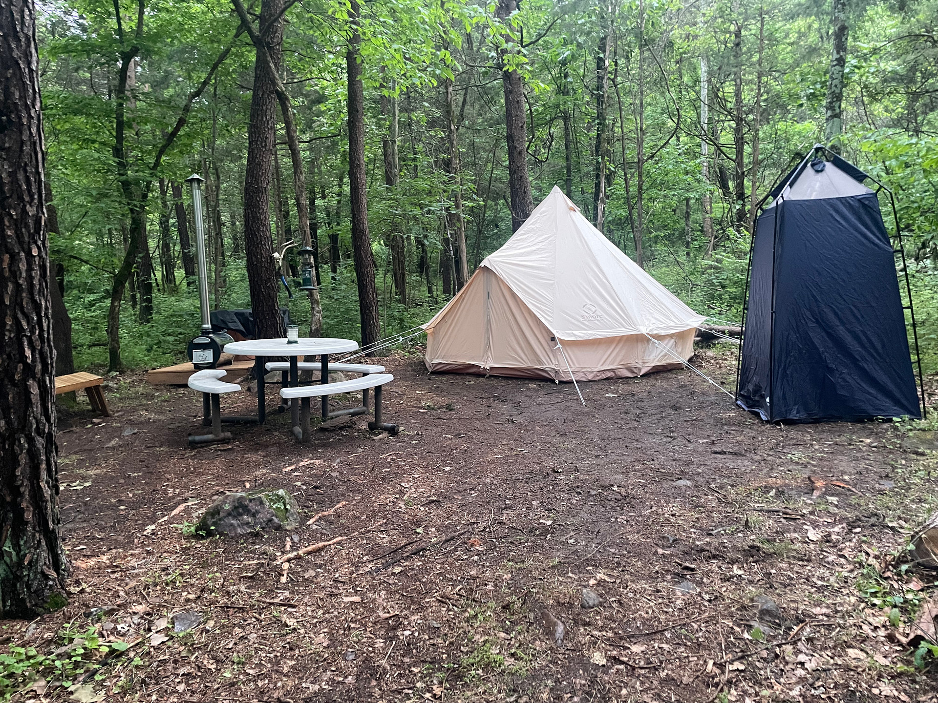Nicholson’s Wonder Forest