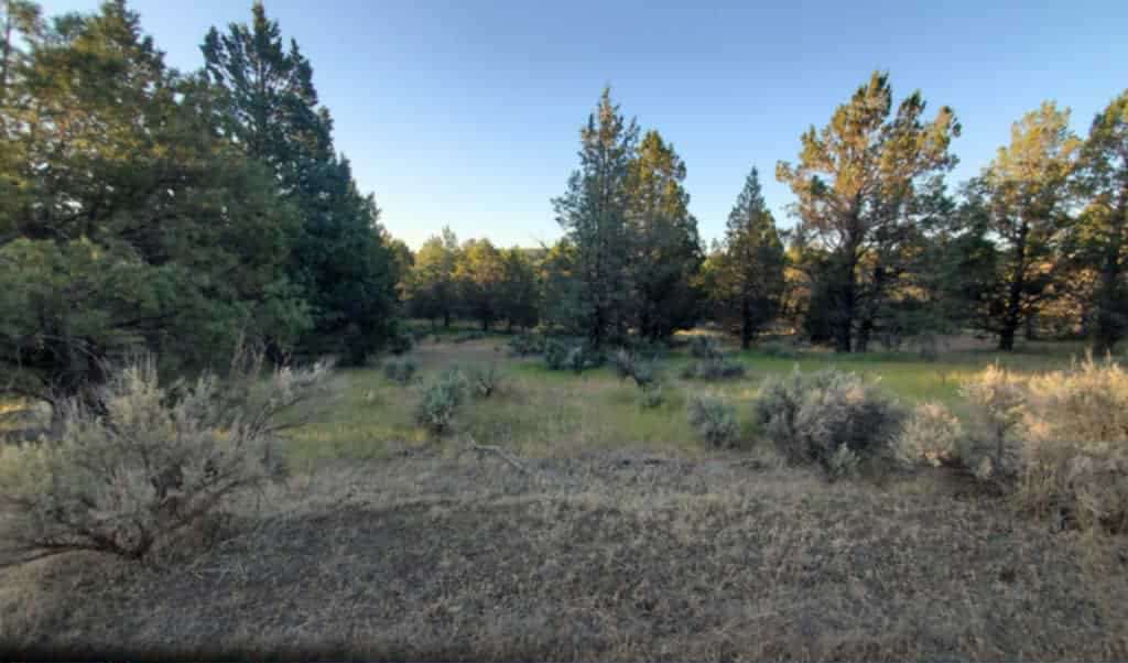 Prosperity Pines Hideaway Camp