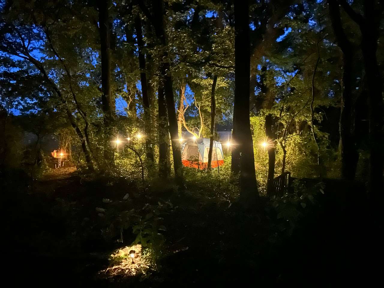 Watershed Woods