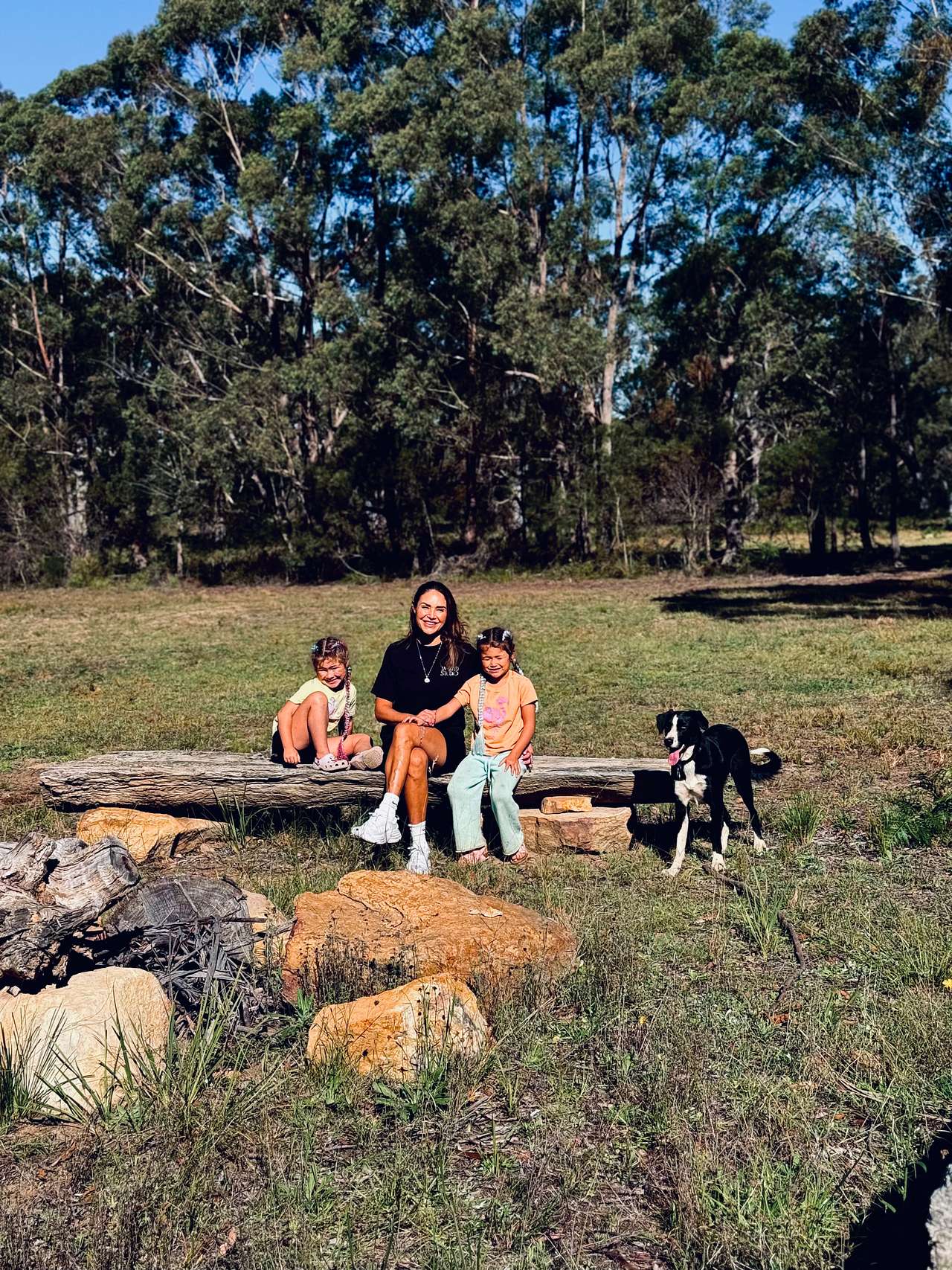 Old Forty Pumpkin Farm