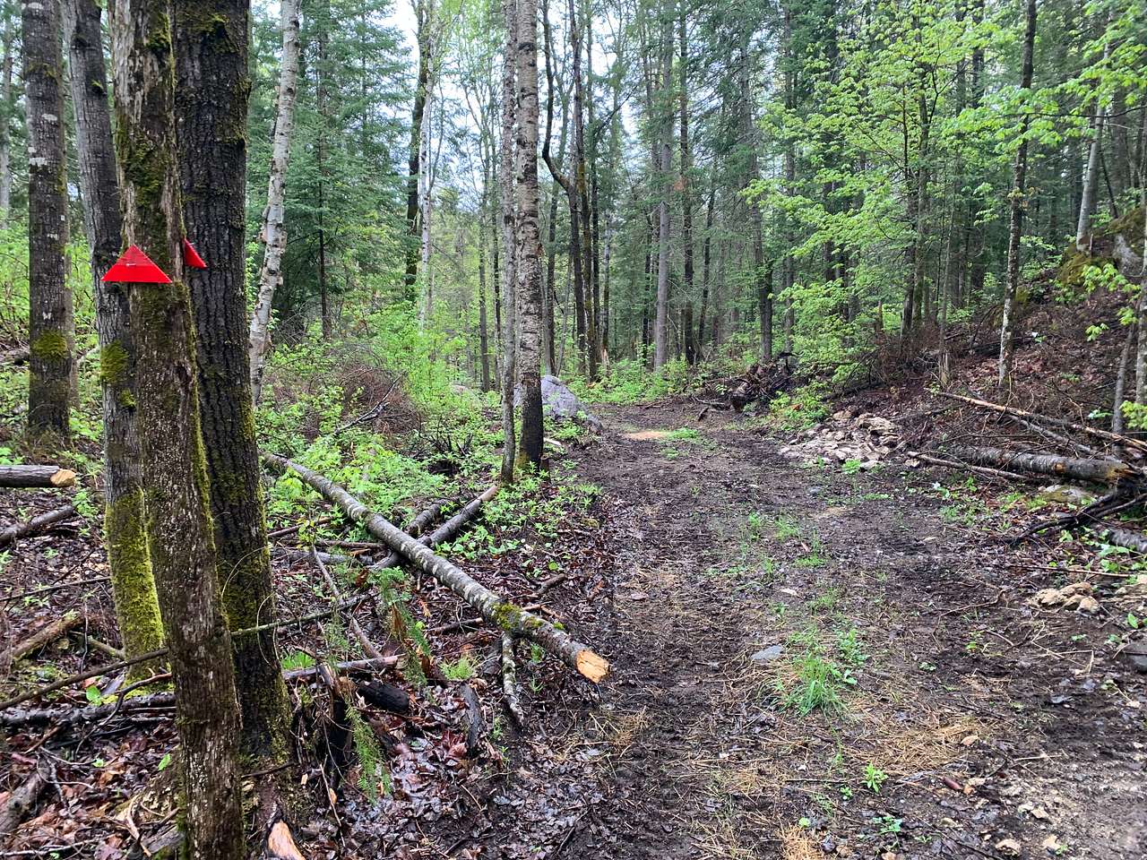 Rockingham Creek Valley