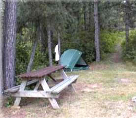 Rohr's Wilderness Tours