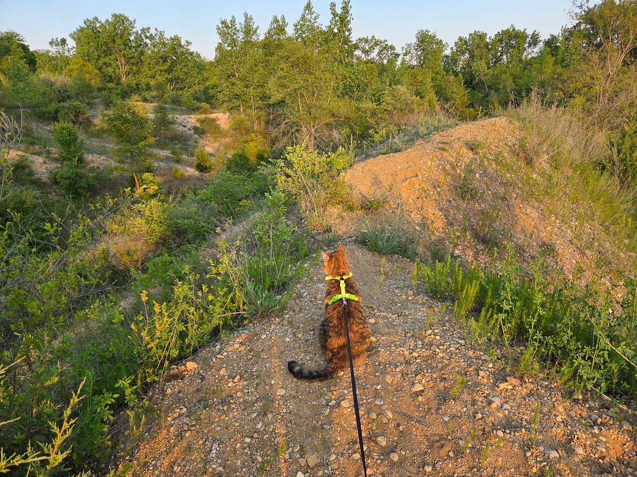 Paradise Quarry