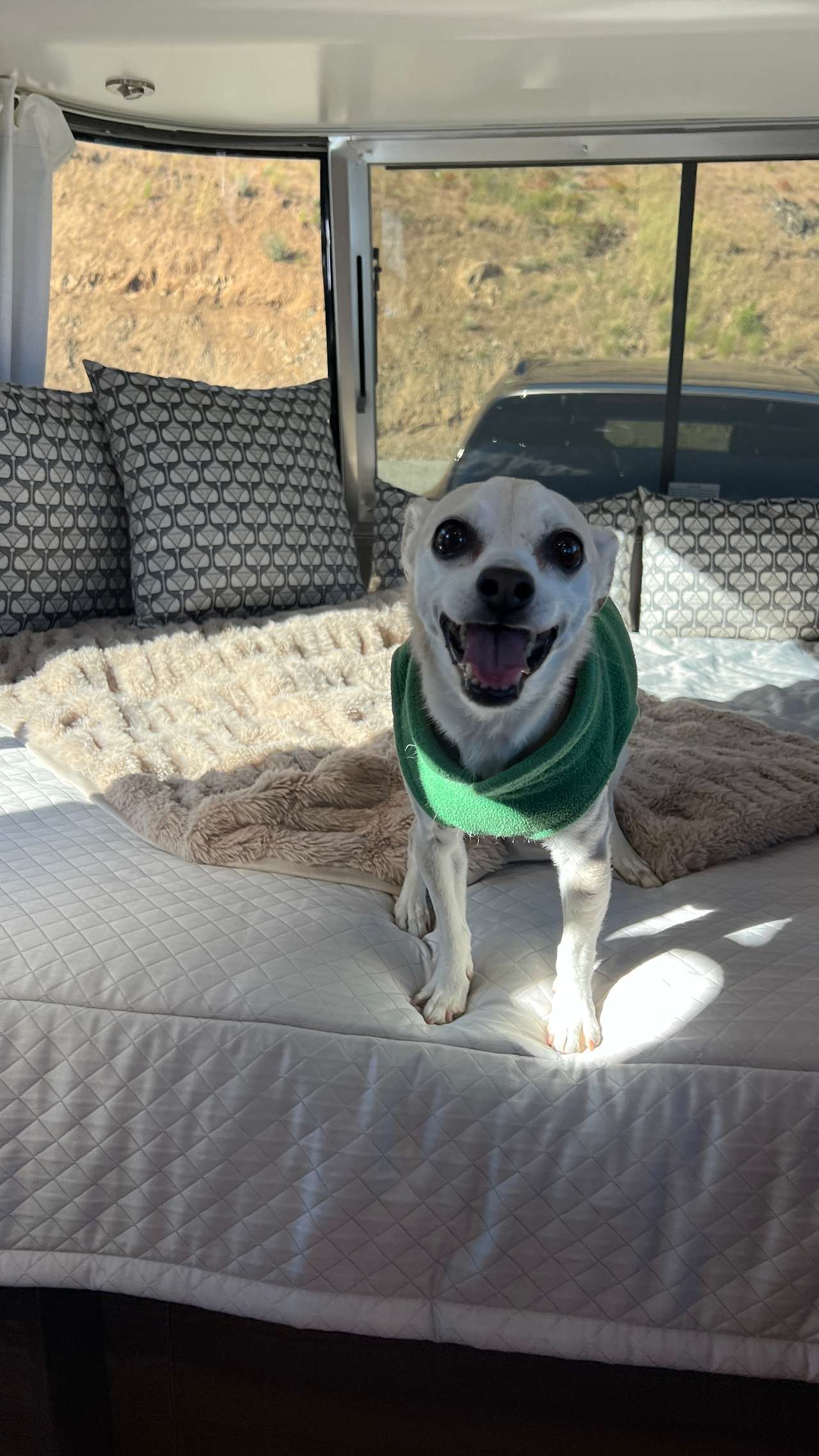 Happy camper!