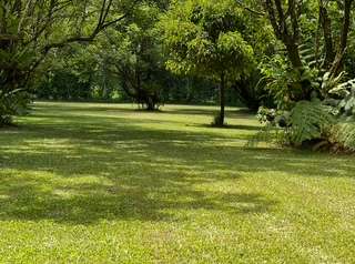 Paradise Camps