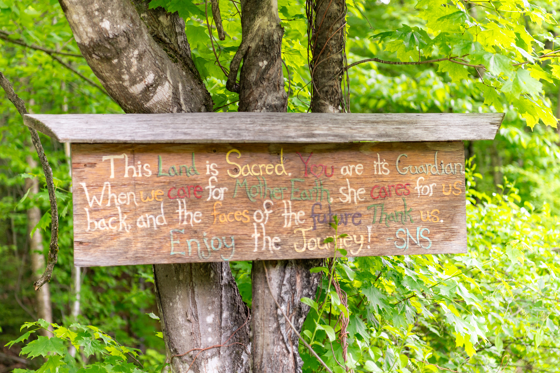 Sacred Nectar Sanctuary