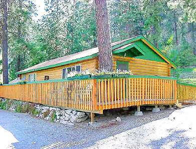 Shady Pines Resort