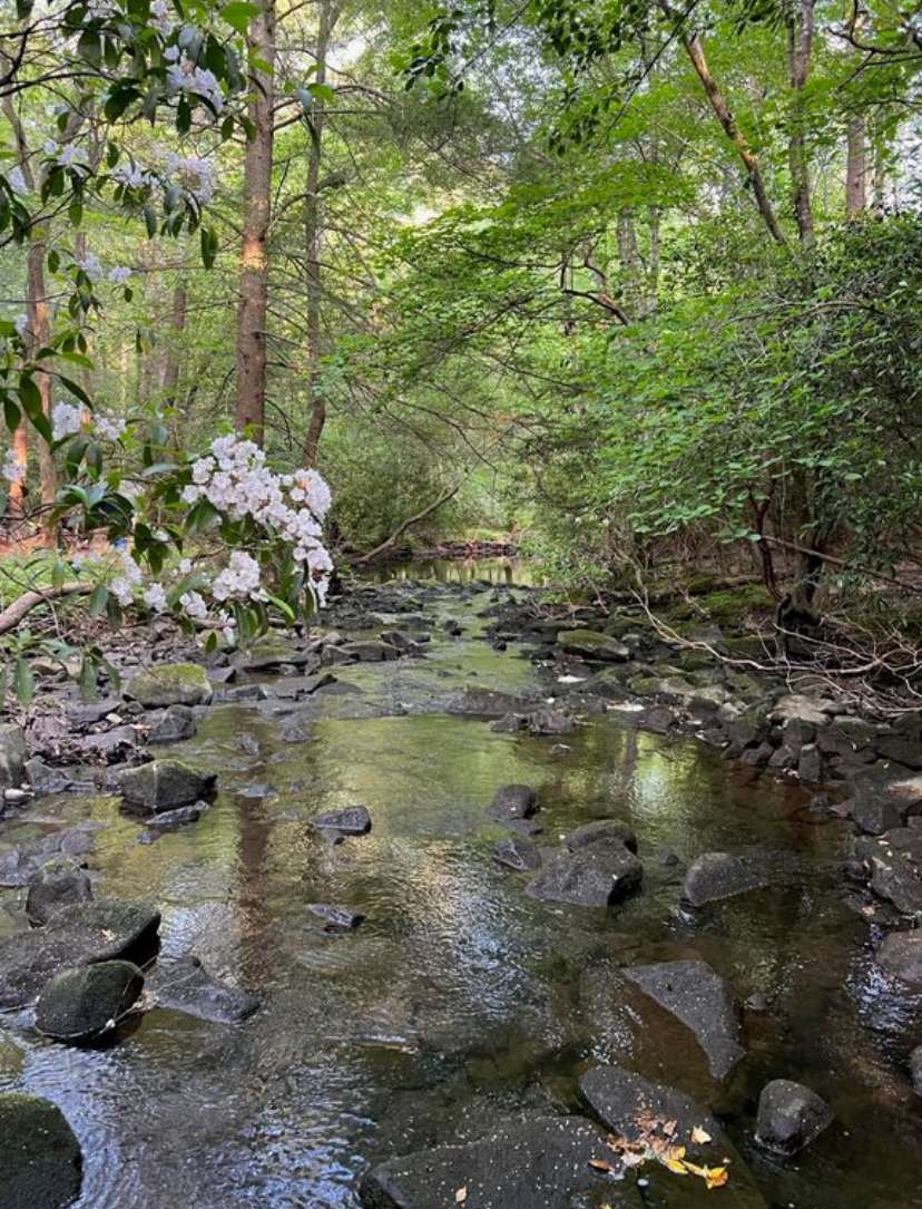 River Rock Refuge
