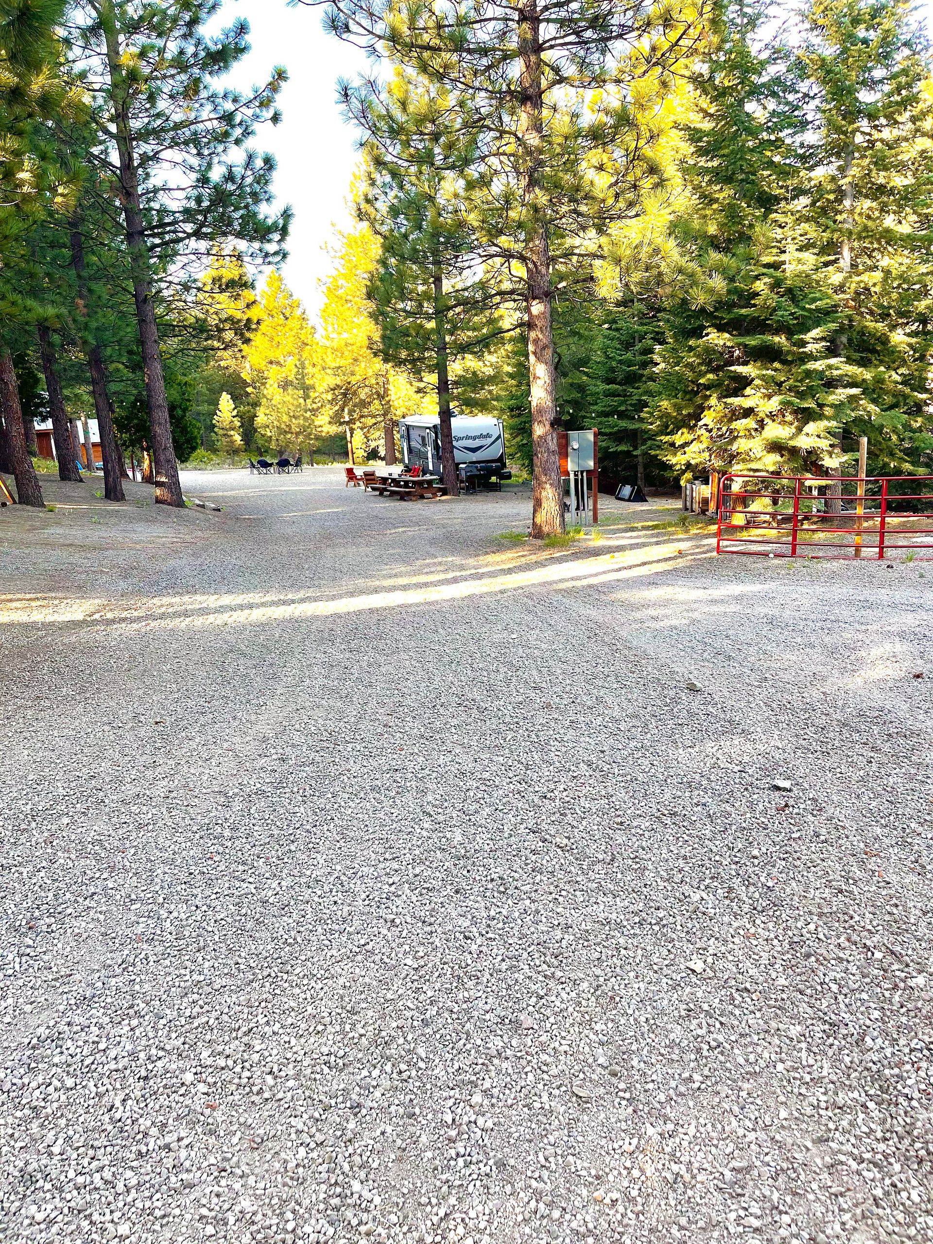 Welsh Grizzly Camp