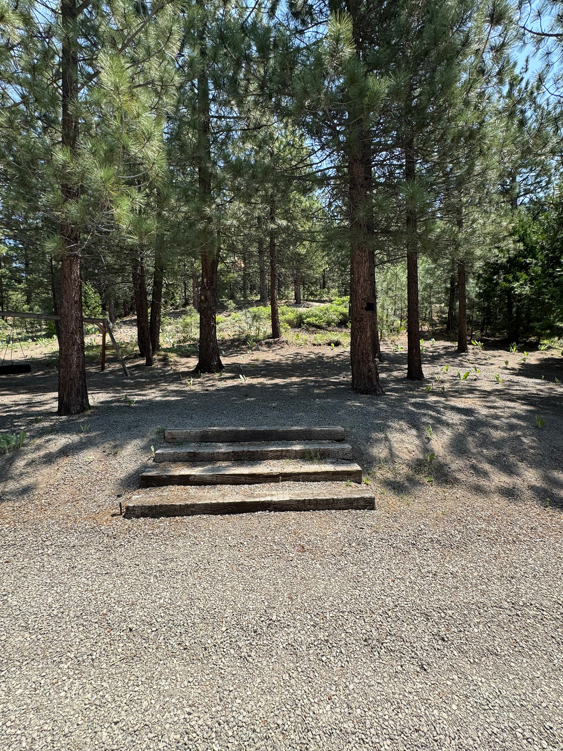 Welsh Grizzly Camp