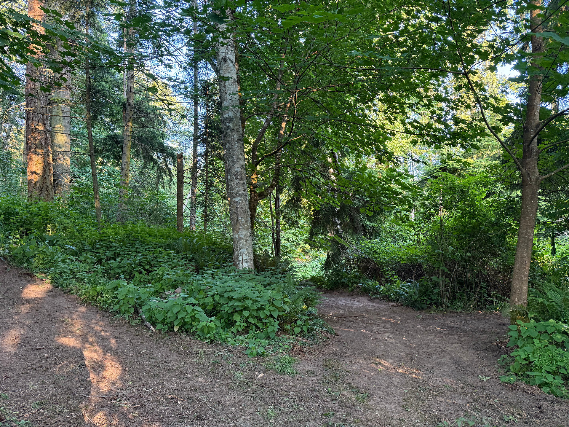 Camp Tranquility