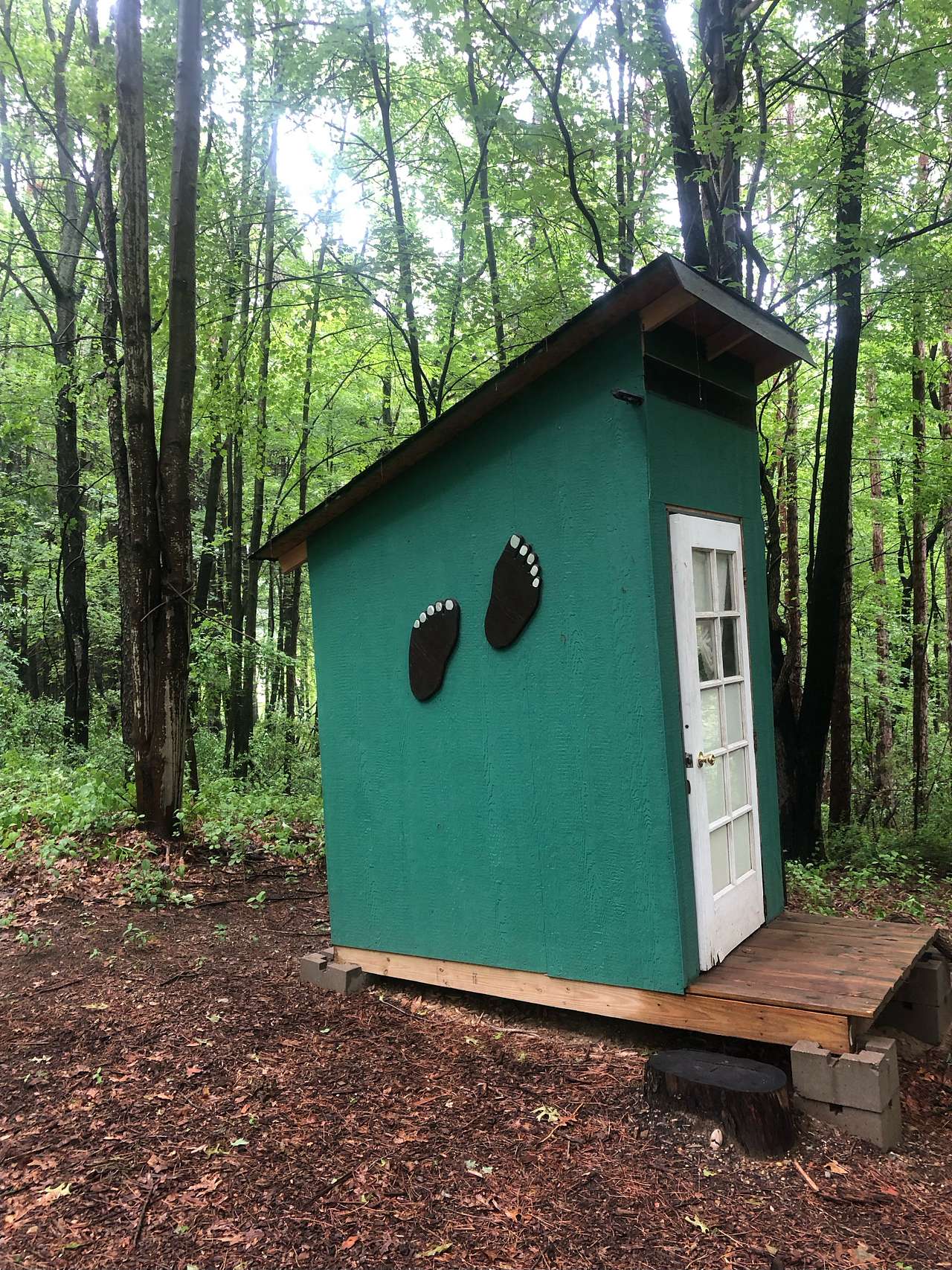 Mulligan's Valley in the Woods