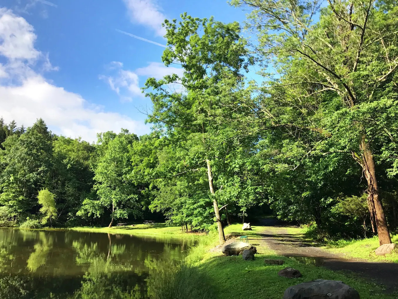 Cranberry Run Campground