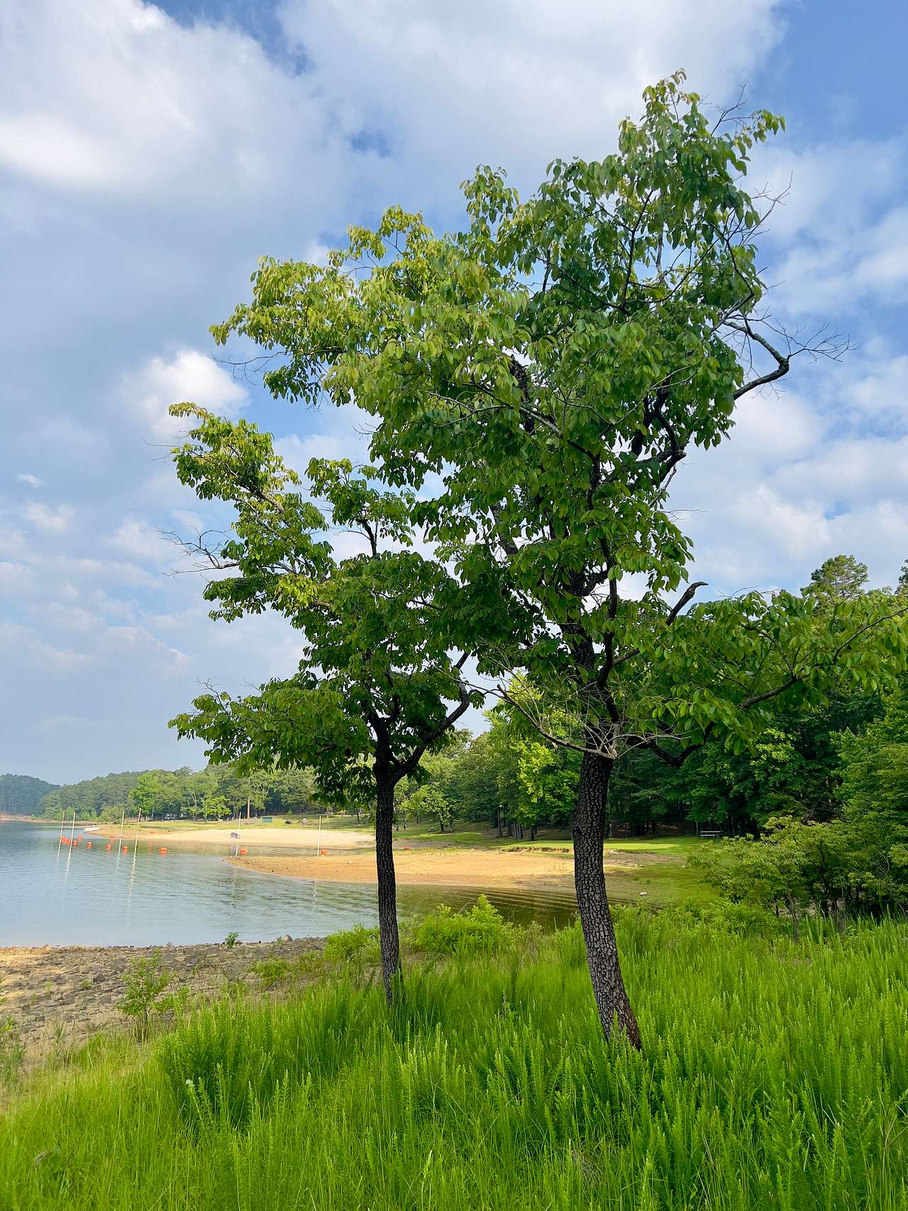 Greeson Lake