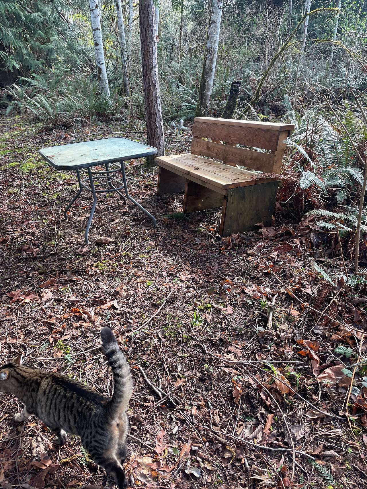 Marble Creek Retreat