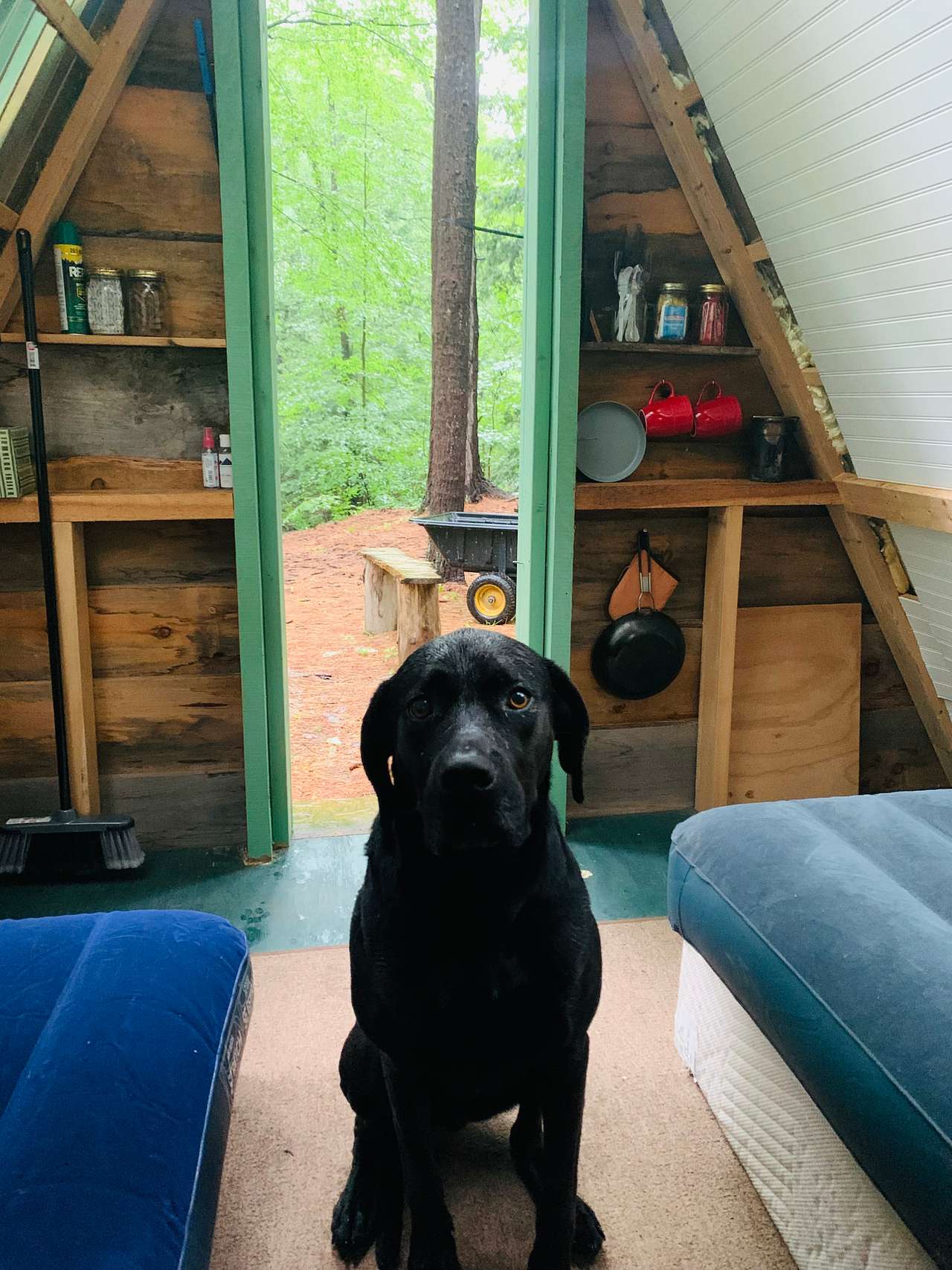 Pine Brook Retreat
