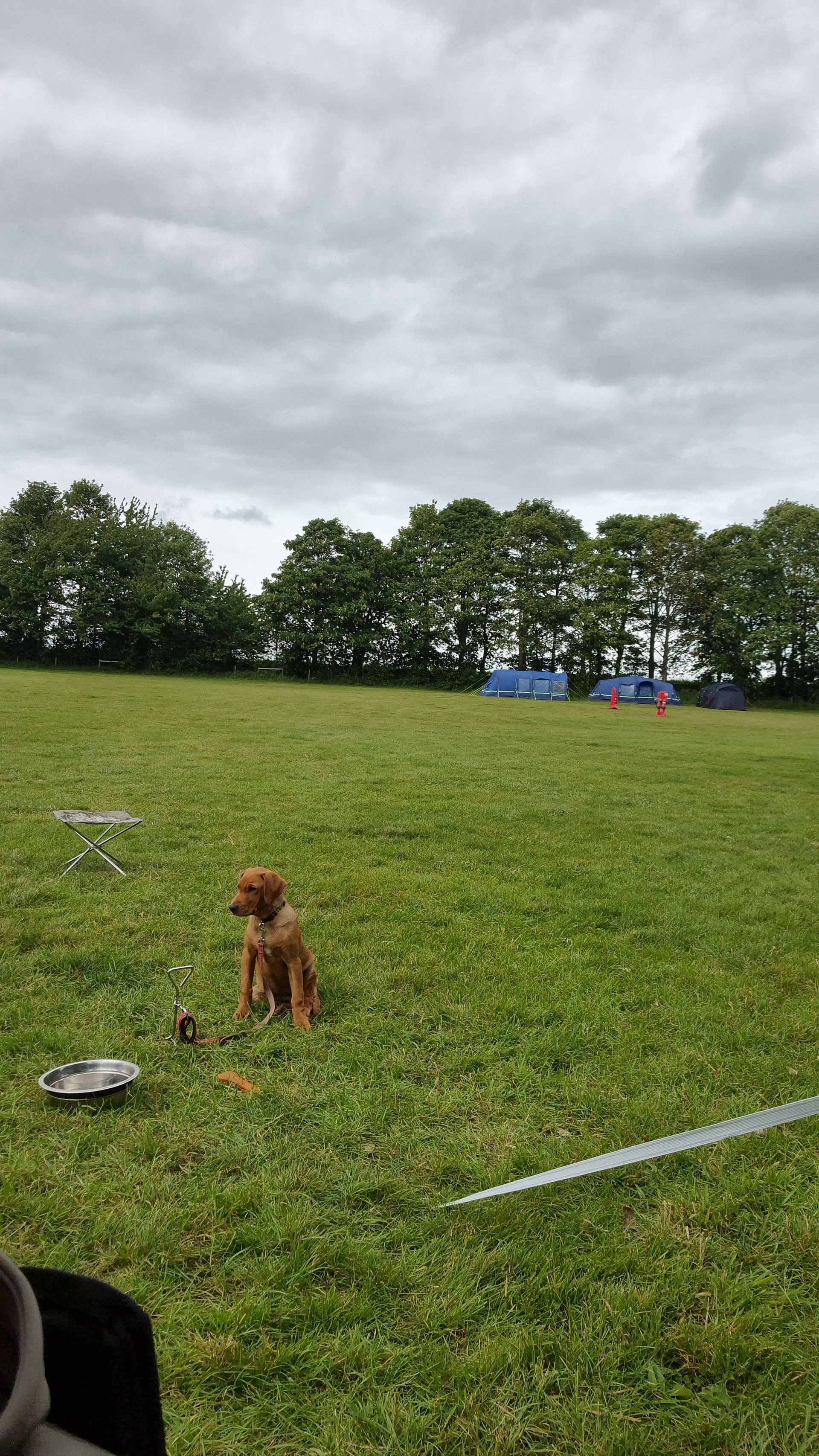 Large open field