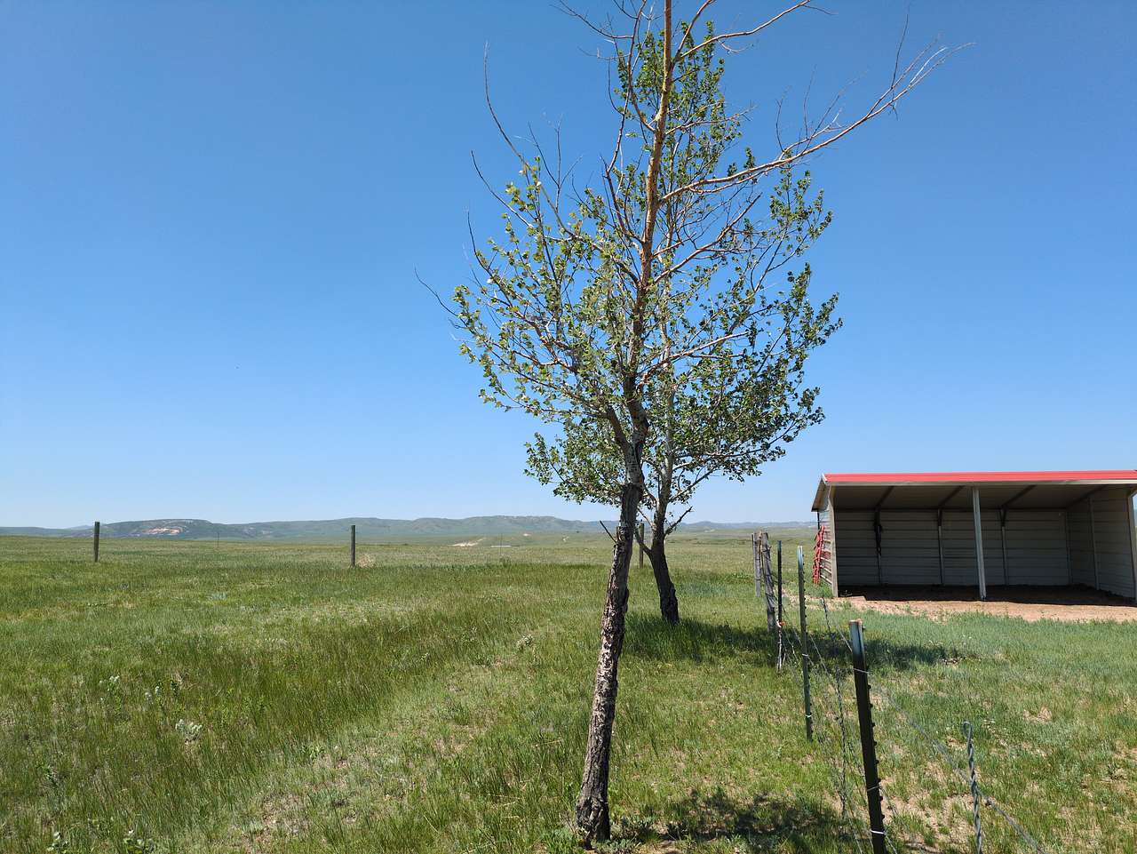 Luckless Ridge