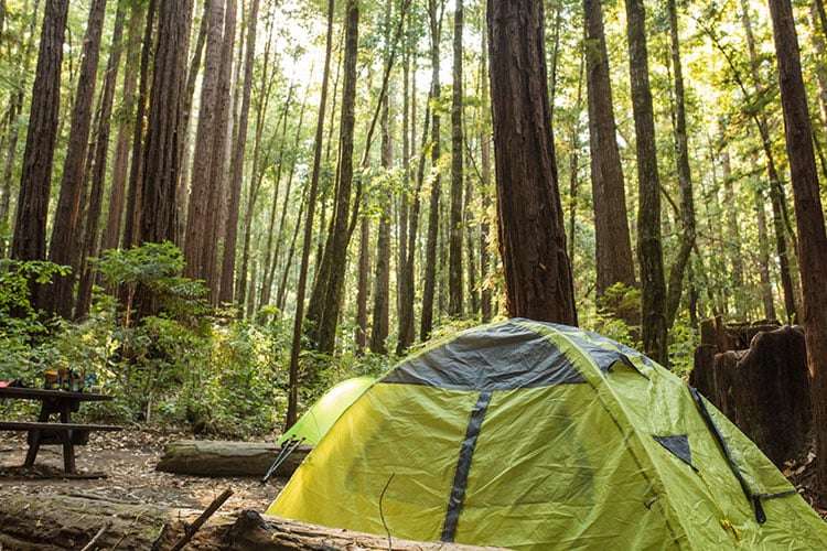 Glacier Nalu Campground Resort