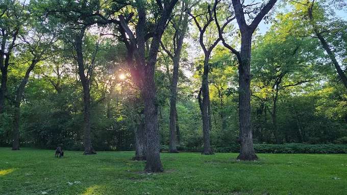 Cold Springs Park