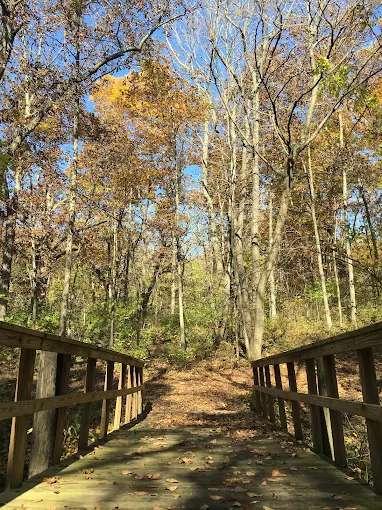 Virginia Grove Rec Area