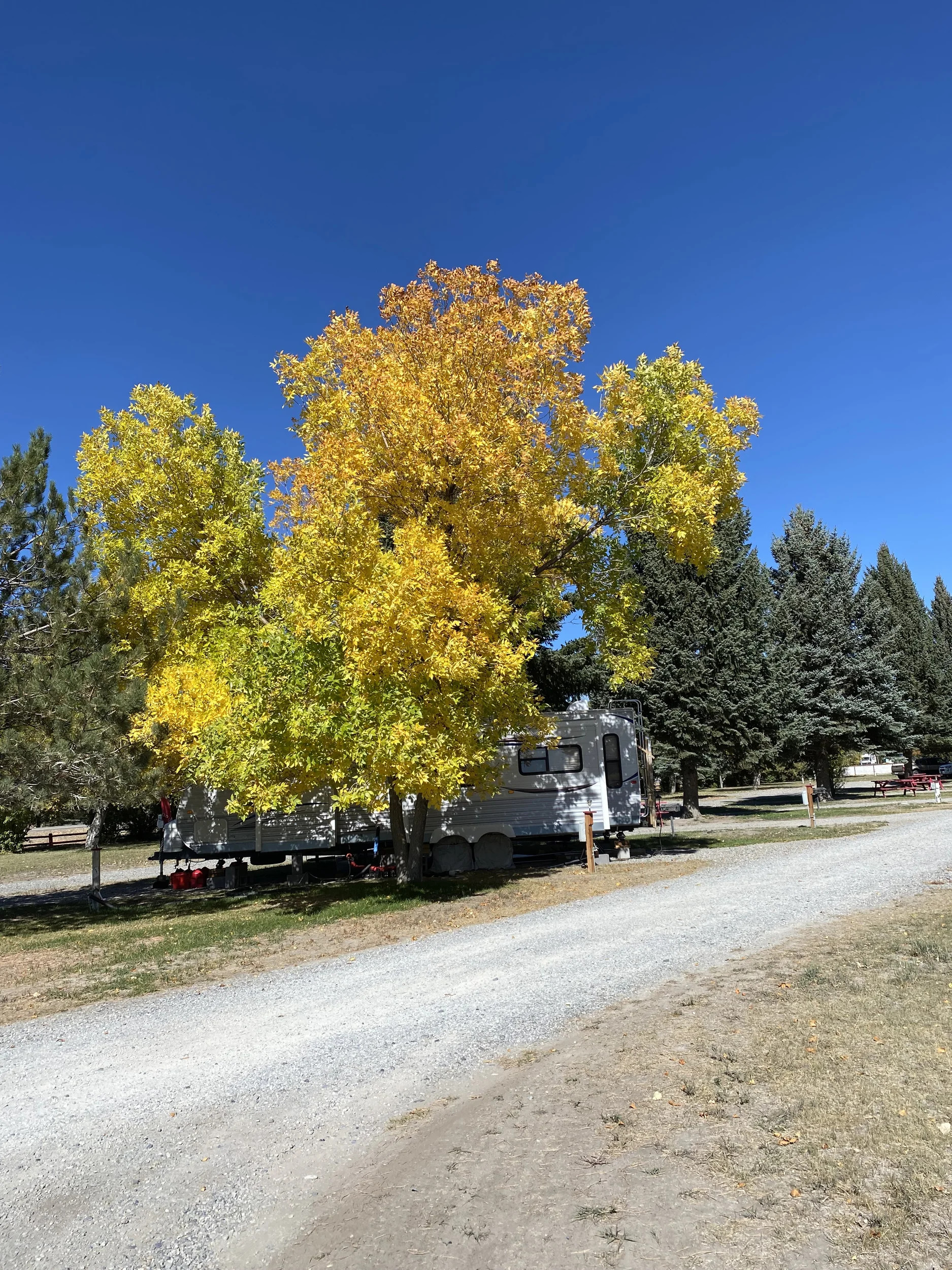 Mountain View RV Park