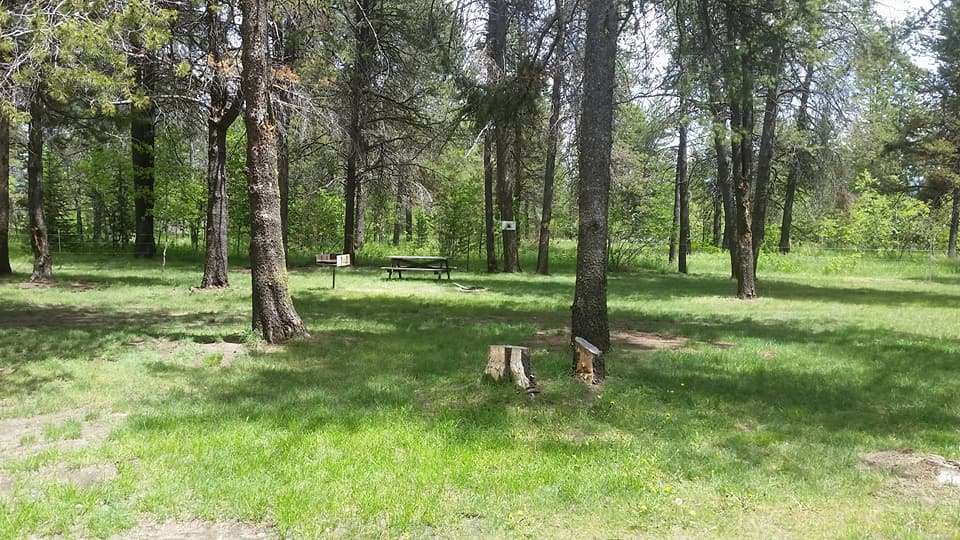 Pines RV Park and Storage